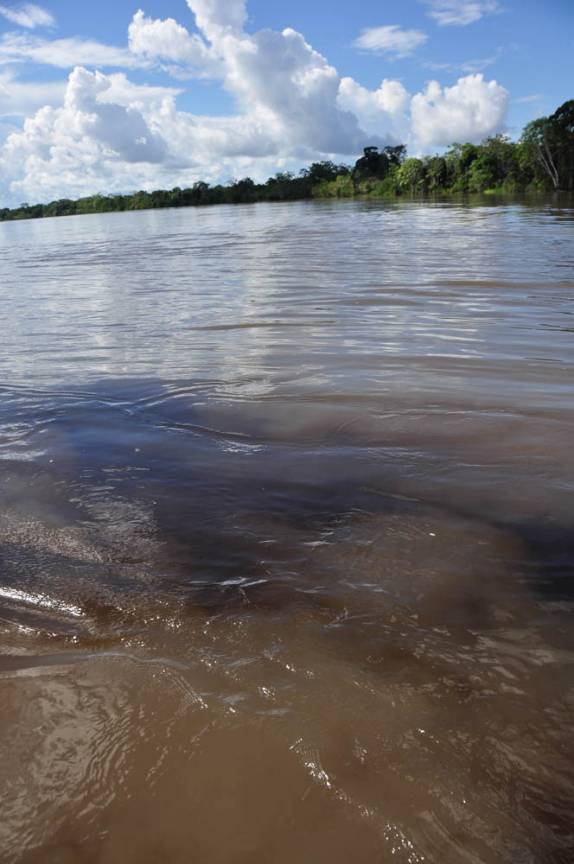 Encontro das águas na região de Tefé, no Amazonas